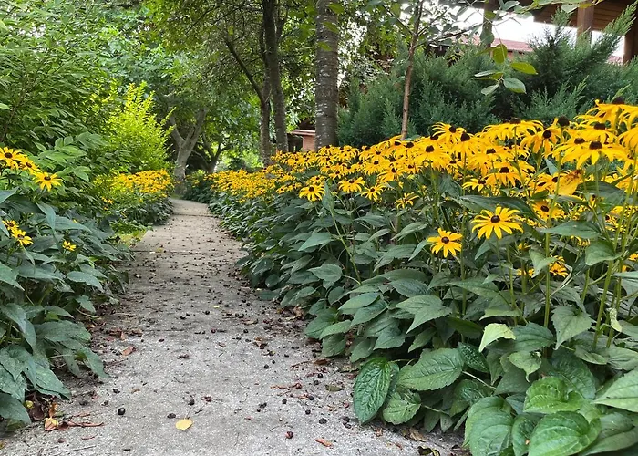 Domek letniskowy Letniskowe Kopań Darłówko